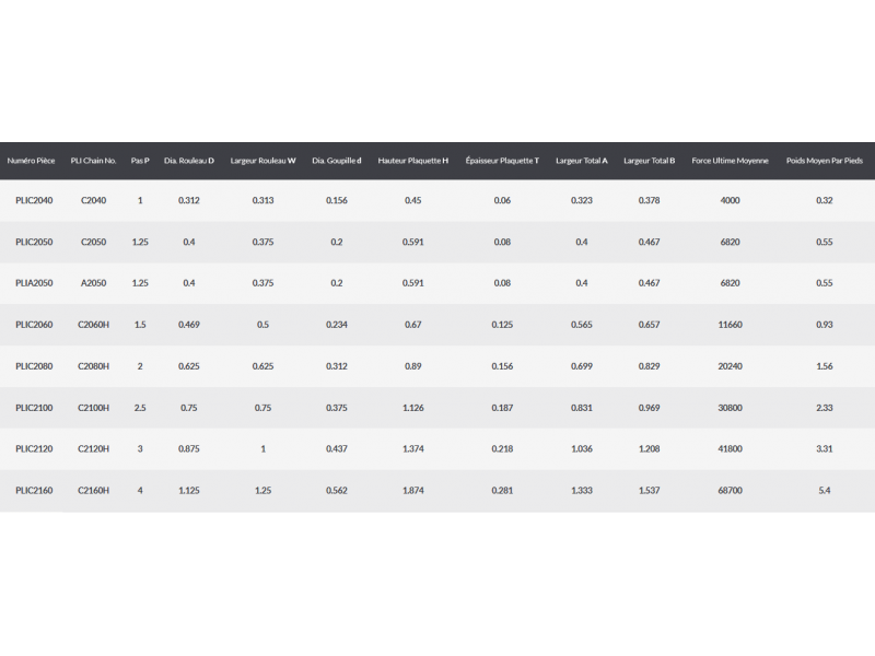 Double Pitch Premium Roller Chain A2040 to C2160H