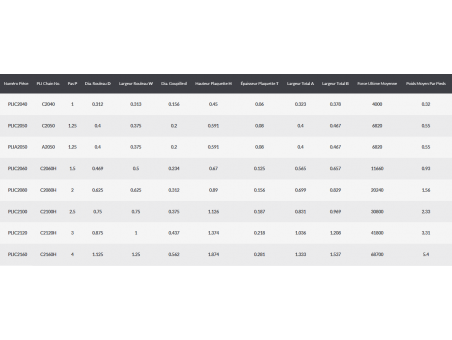 Chaîne Premium à double pas - A2040 à C2160H