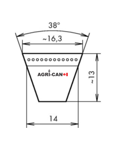Courroie pour Maschio Barbi, Bella, Brava, Giraffa,... 2