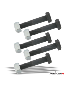 Vis de cisaillement (Shear Bolt) pour Bondioli & Pavesi -...